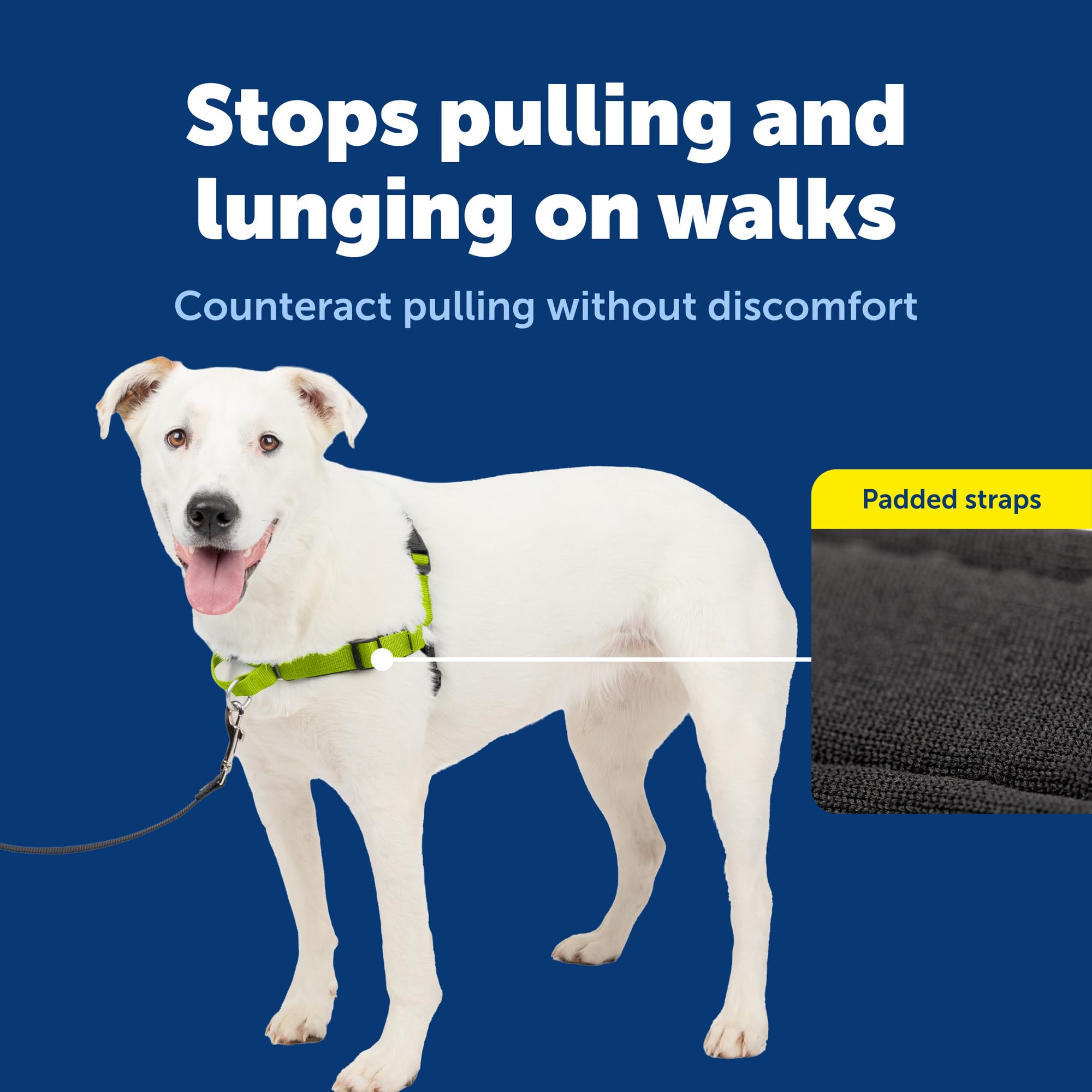 Harnais PetSafe Deluxe Easy Walk boucle Martingale pour pression progressive.