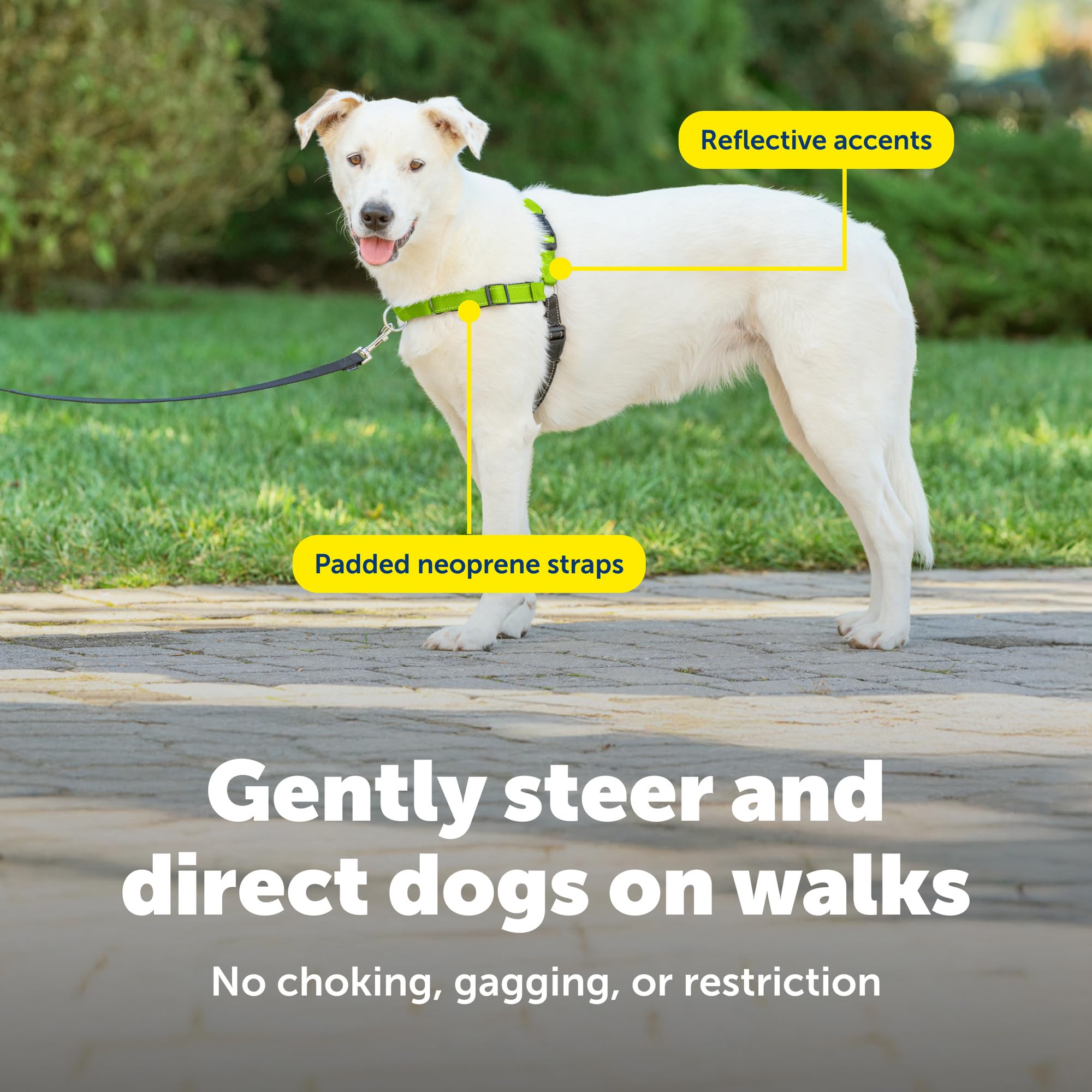 Harnais PetSafe Deluxe Easy Walk système anti tirage pour redirection douce.