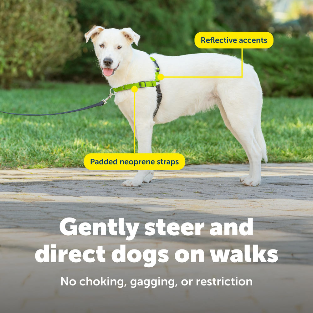 Harnais PetSafe Deluxe Easy Walk système anti tirage pour redirection douce.