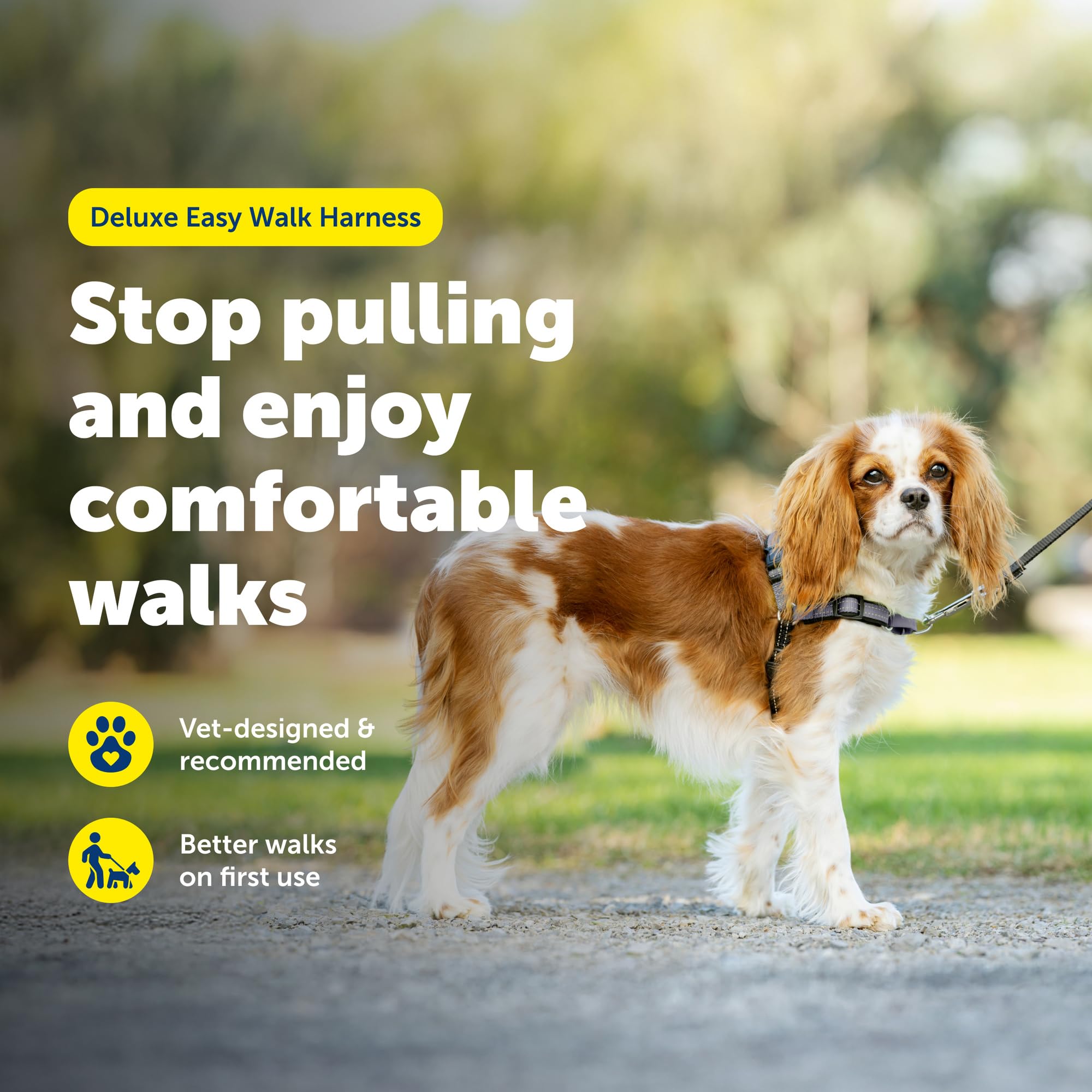 Harnais PetSafe Easy Walk, sangles respirantes pour un confort léger en été.
