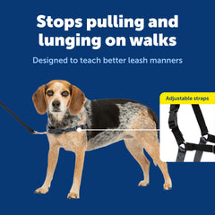 Boucle martingale-devant PetSafe Easy Walk pour rediriger la traction