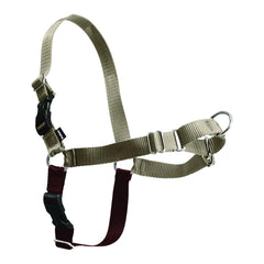 Harnais Petsafe Easy Walk anti-traction frontale pour balades sans effort.