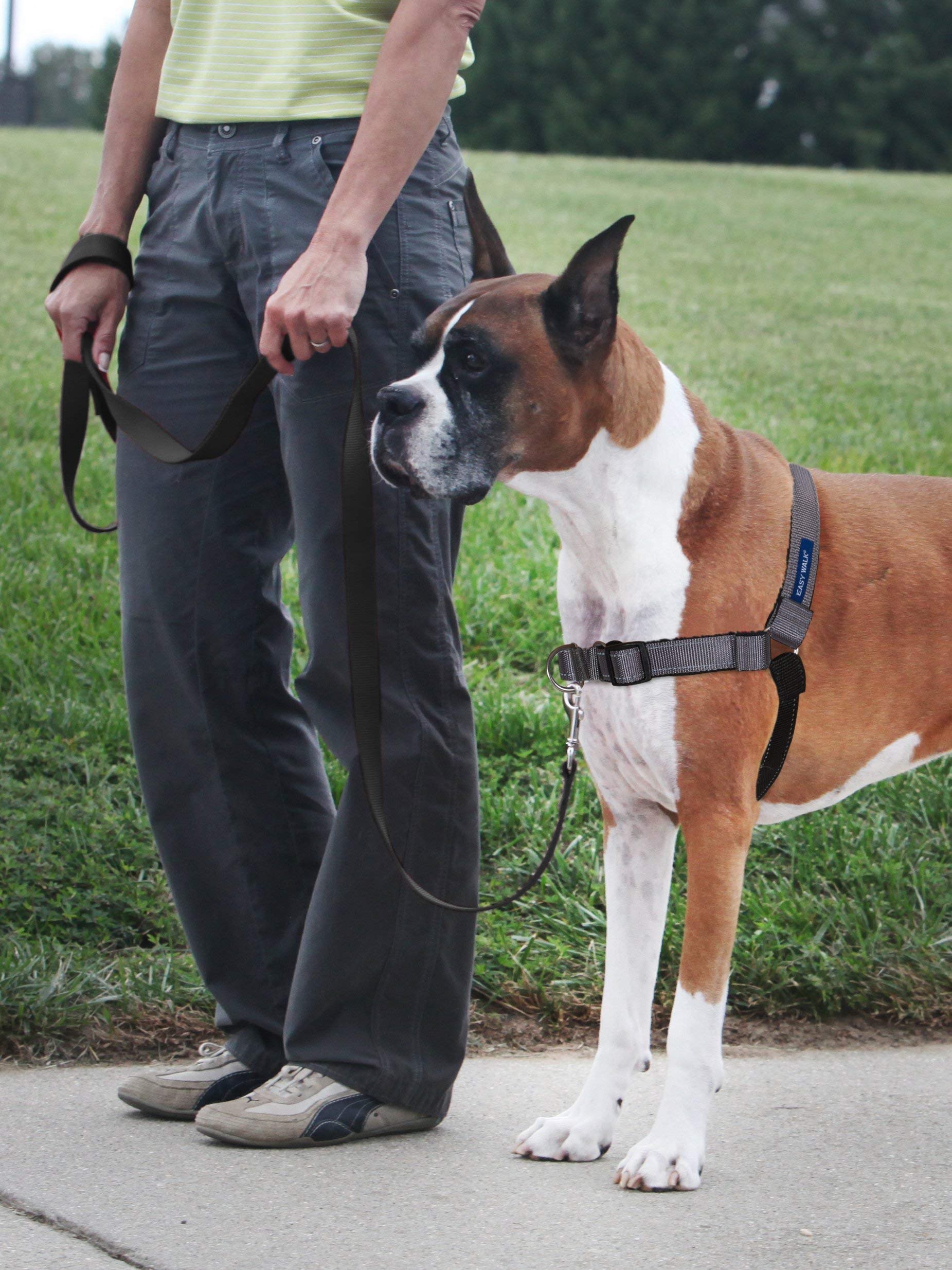 Harnais PetSafe Easy Walk, vue latérale, attache poitrine pour guider sans strangulation.