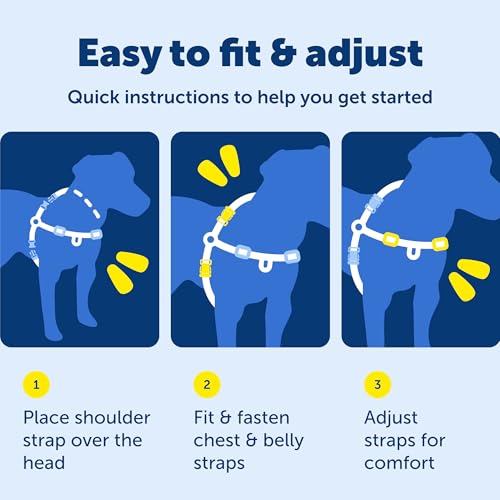 Harnais PetSafe Easy Walk, mise en place facile au quotidien par des propriétaires.