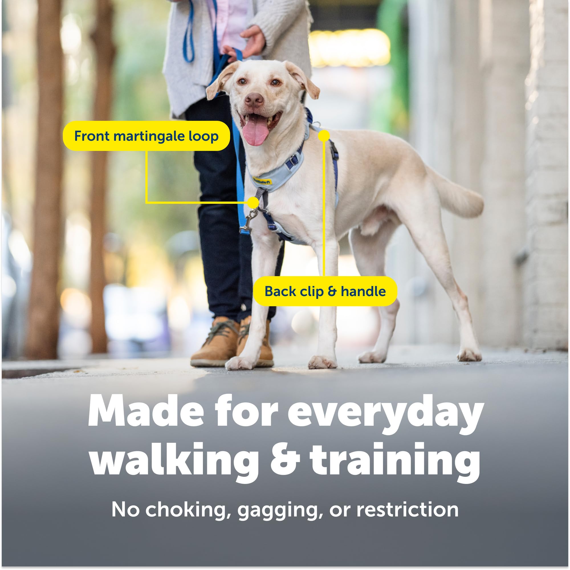Harnais PetSafe MarcheFacile Attache Dos : pratique pour courir ou marcher rapidement.