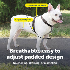 Nylon respirant et rembourrage doux assurent un port confortable.