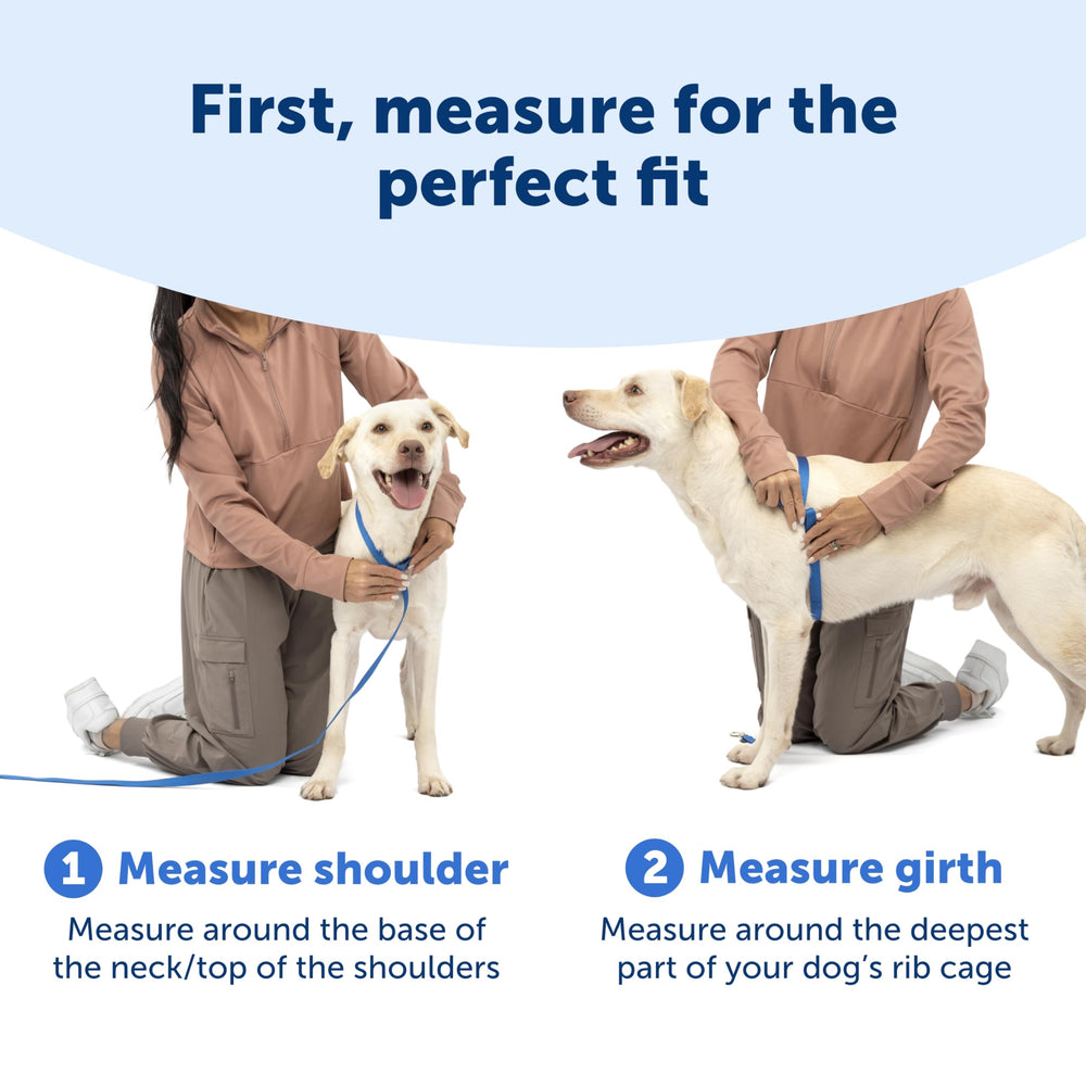 Poignee de controle PetSafe facile a saisir lors des promenades