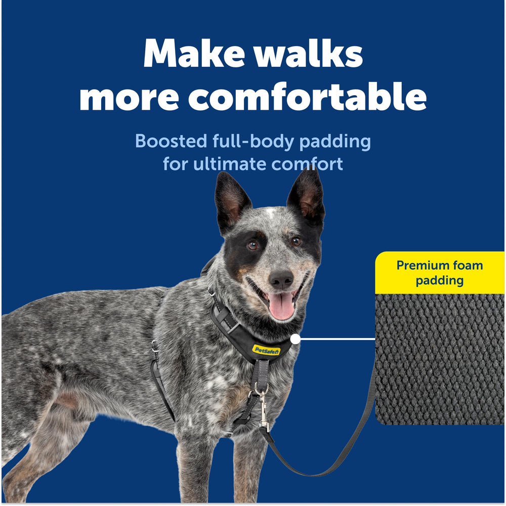 Boucle martingale frontale PetSafe pour rediriger l’attention en douceur