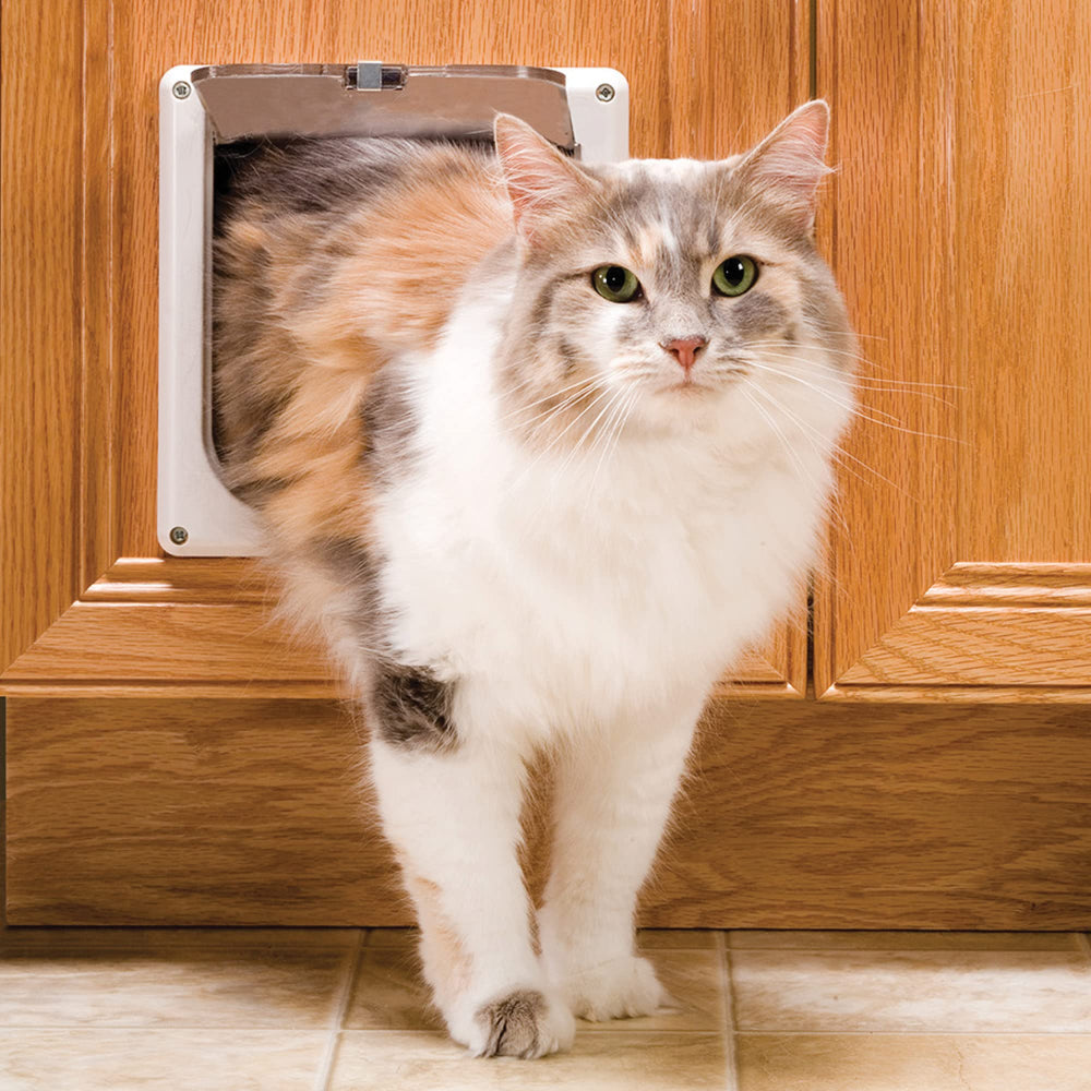 Porte translucide PetSafe, confidentialité pour litière et repas du chat