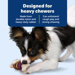 PetSafe Jouet mastication durable pour chiens forts et joueurs.