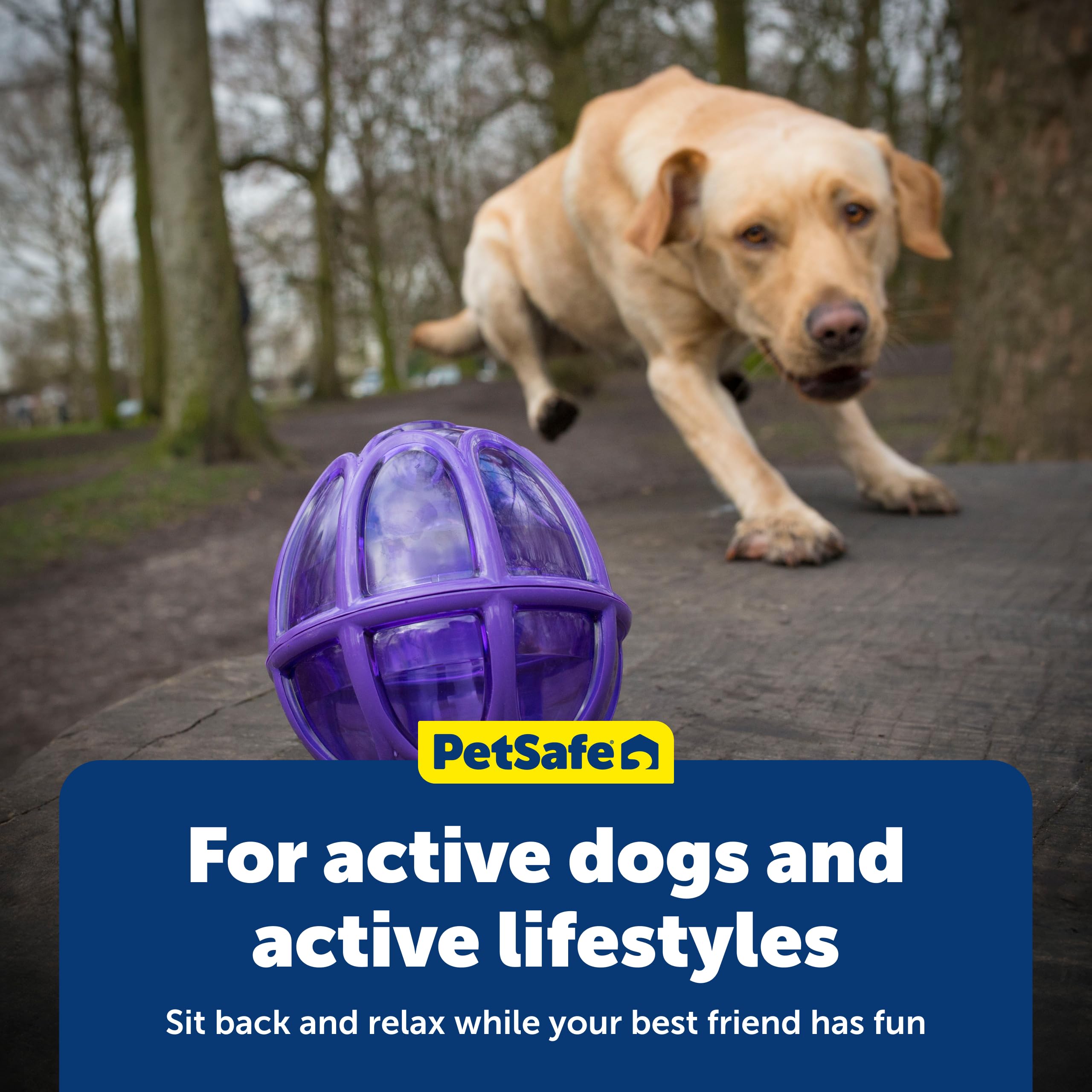 Petsafe Kibble Nibble: conçu pour des repas plus lents pour chiens de toutes tailles.