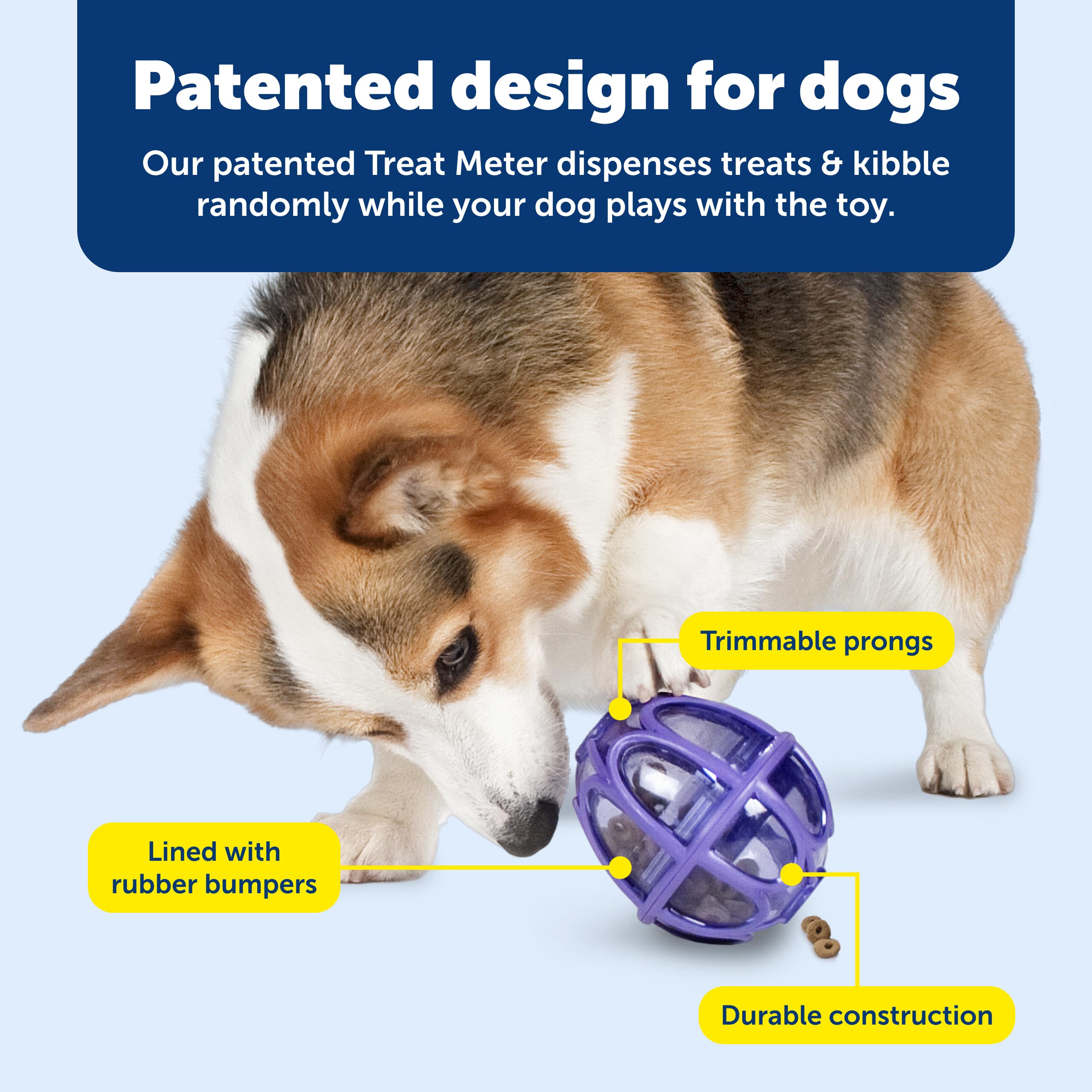 Petsafe Kibble Nibble: distribution aléatoire stimulant les instincts naturels du chien.