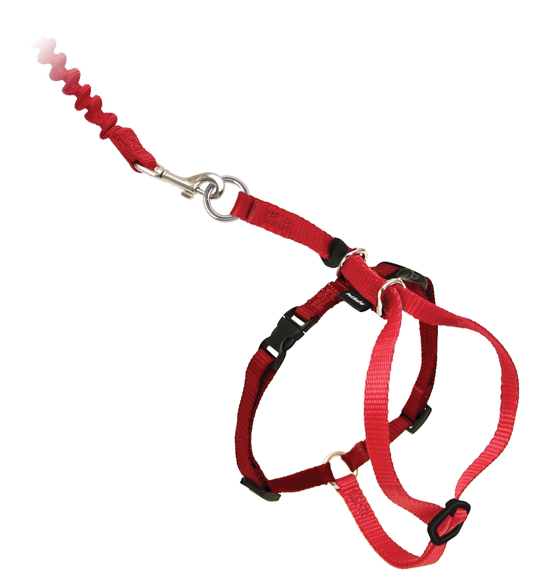 Laisse elastique légère PetSafe idéale pour promenades en extérieur.