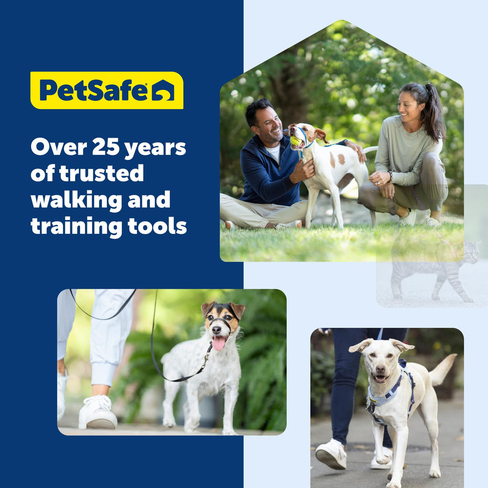 Laisse PetSafe nylon, utilisation quotidienne sûre et légère.