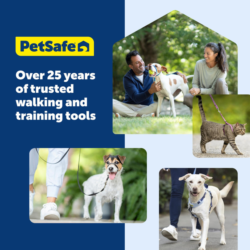 PetSafe Laisse Multiples Couleurs Disponibles, assortie à votre harnais et collier.