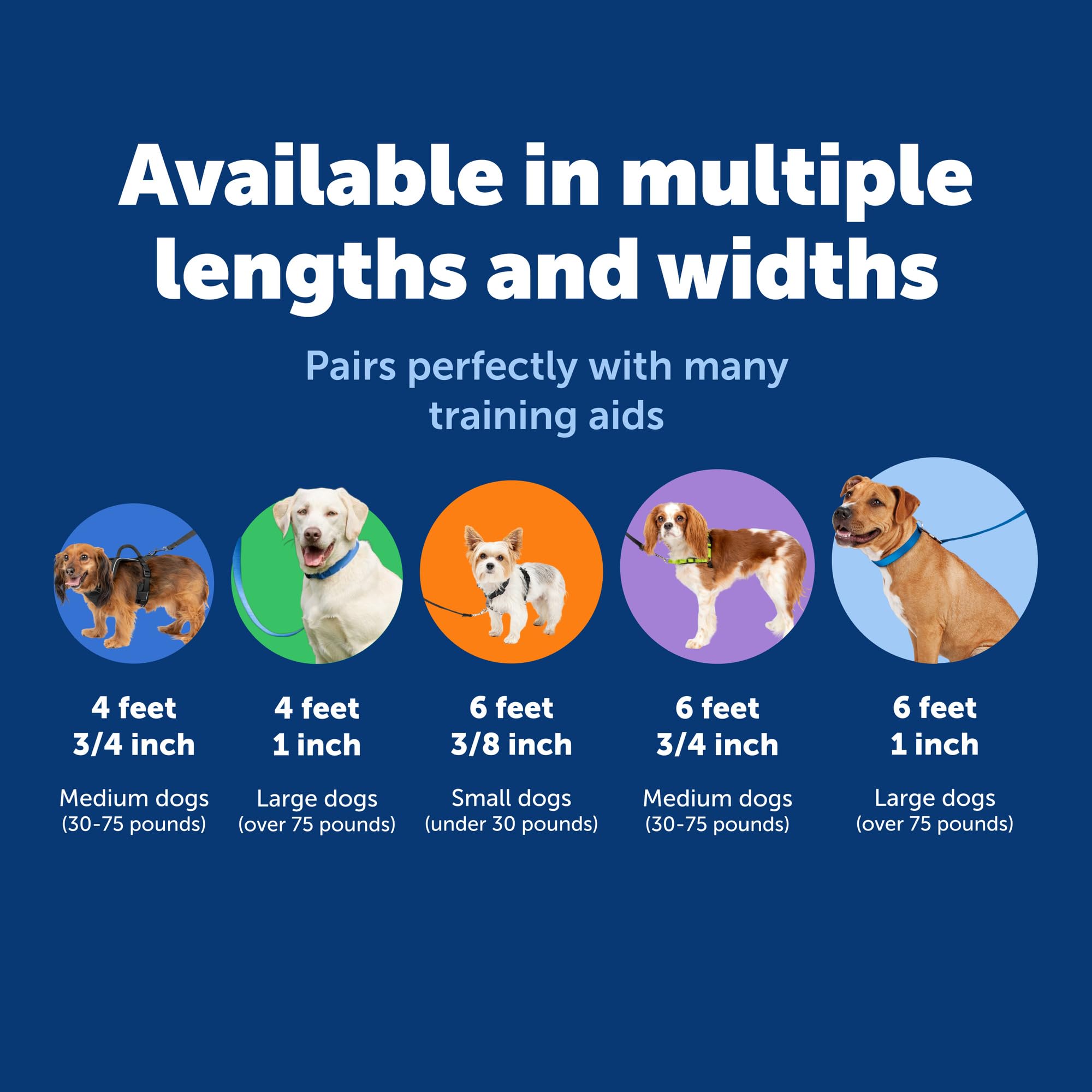 PetSafe laisse nylon compatible harnais noir, idéal pour entraînement et contrôle