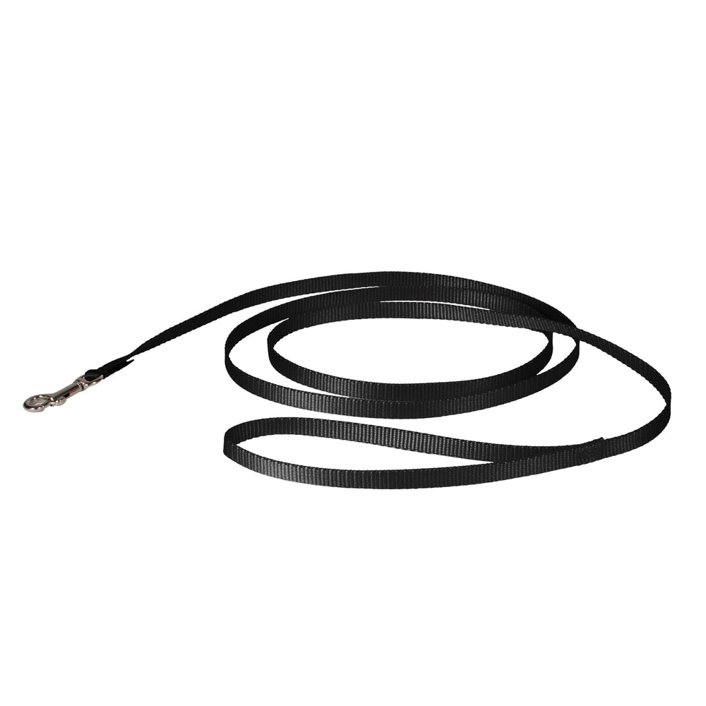 La Laisse PetSafe en nylon noire, vue d'ensemble pour promenades quotidiennes