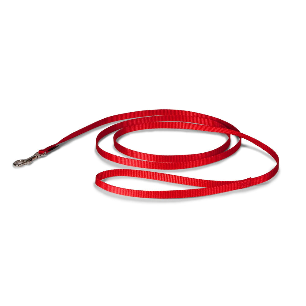 Laisse PetSafe en nylon rouge avec mousqueton solide pour chiens de toutes tailles