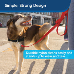 Conception durable de la laisse PetSafe rouge pour une utilisation quotidienne