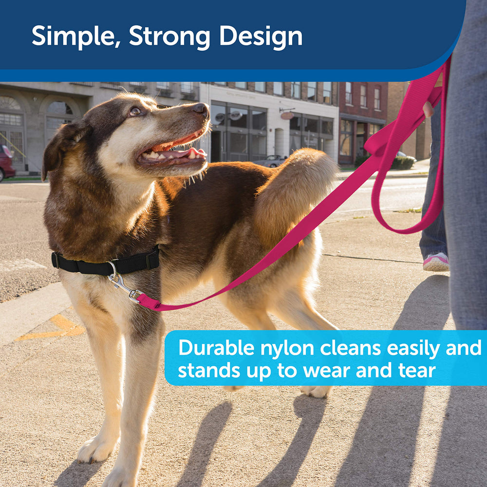 Laisse PetSafe rouge framboise avec accessoires dentrainement pour sessions calmes.