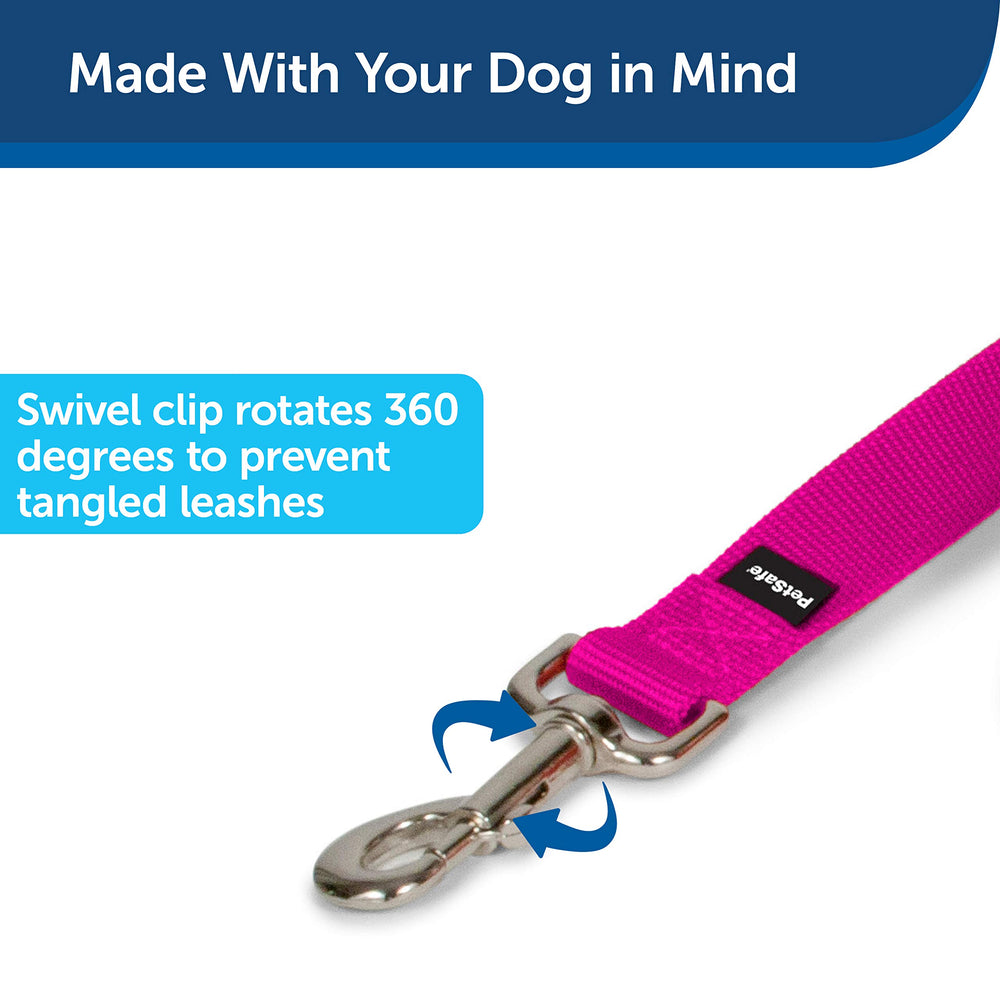 Attache en nickel PetSafe illustrant une connexion rapide et sécurisée.