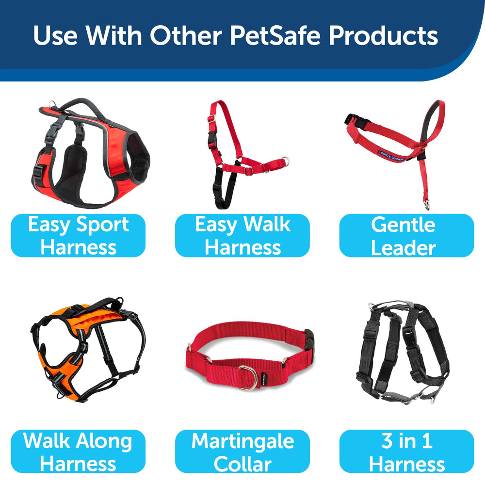 Style traditionnel de la laisse PetSafe rouge pour balades élégantes