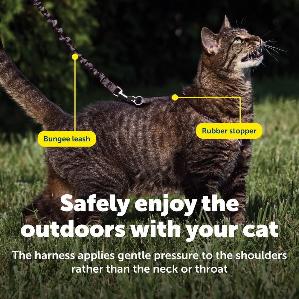 Lien bungee Petsafe, souple pour éviter les tirages.