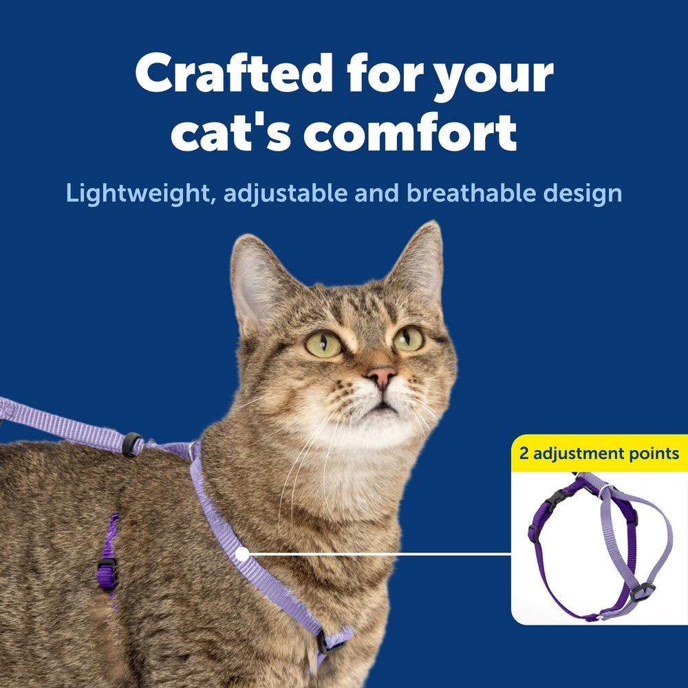 Longe bungee légère PetSafe pour apprentissage en douceur.