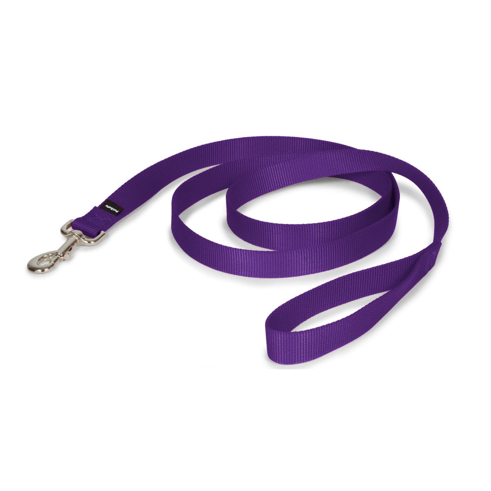 PetSafe Longe Nylon avec attache facile pour des promenades sécurisées.