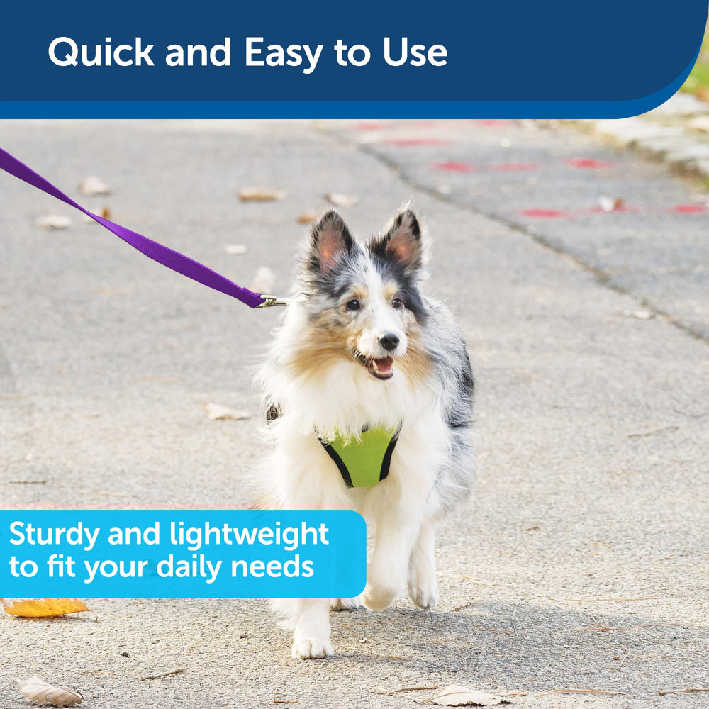 PetSafe Longe Nylon – couleur violet profond pour un style visible et élégant.