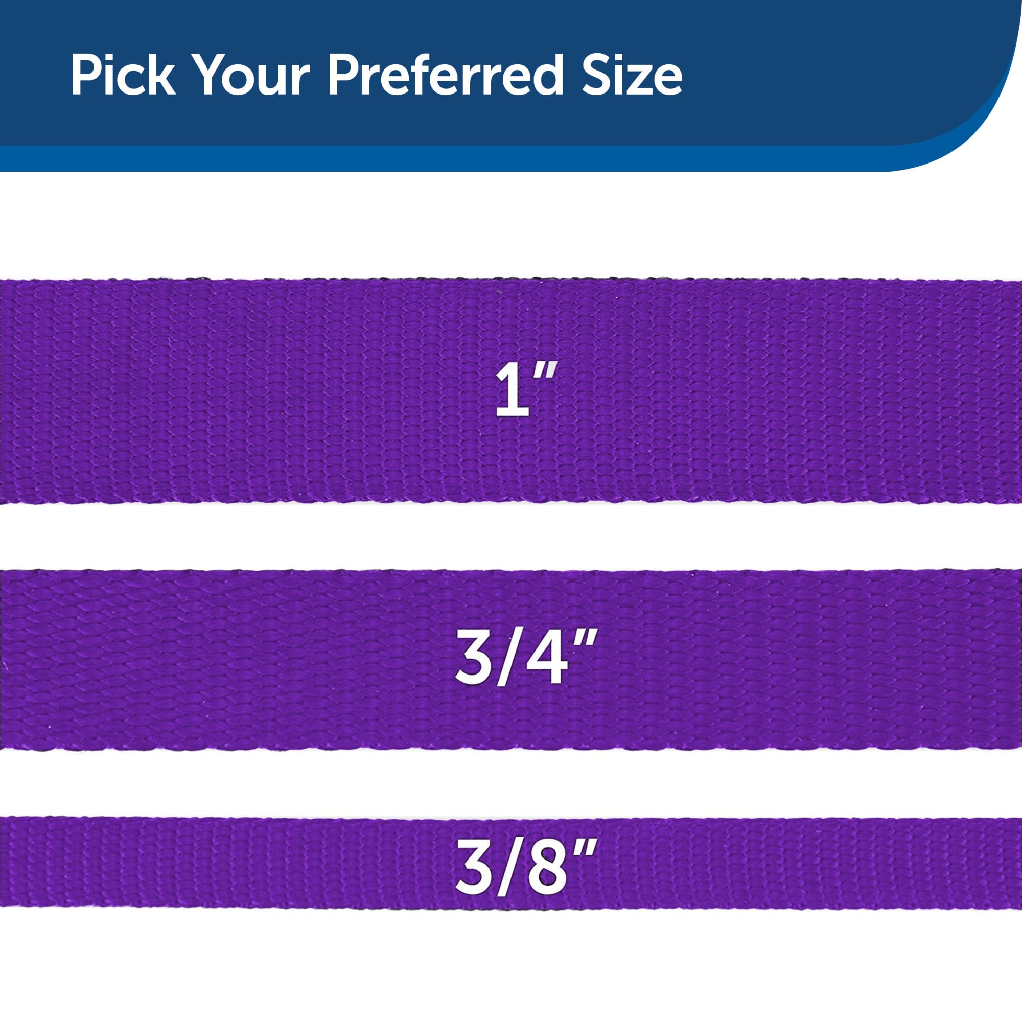 PetSafe Longe Nylon – pratique au quotidien pour des sorties sans souci.
