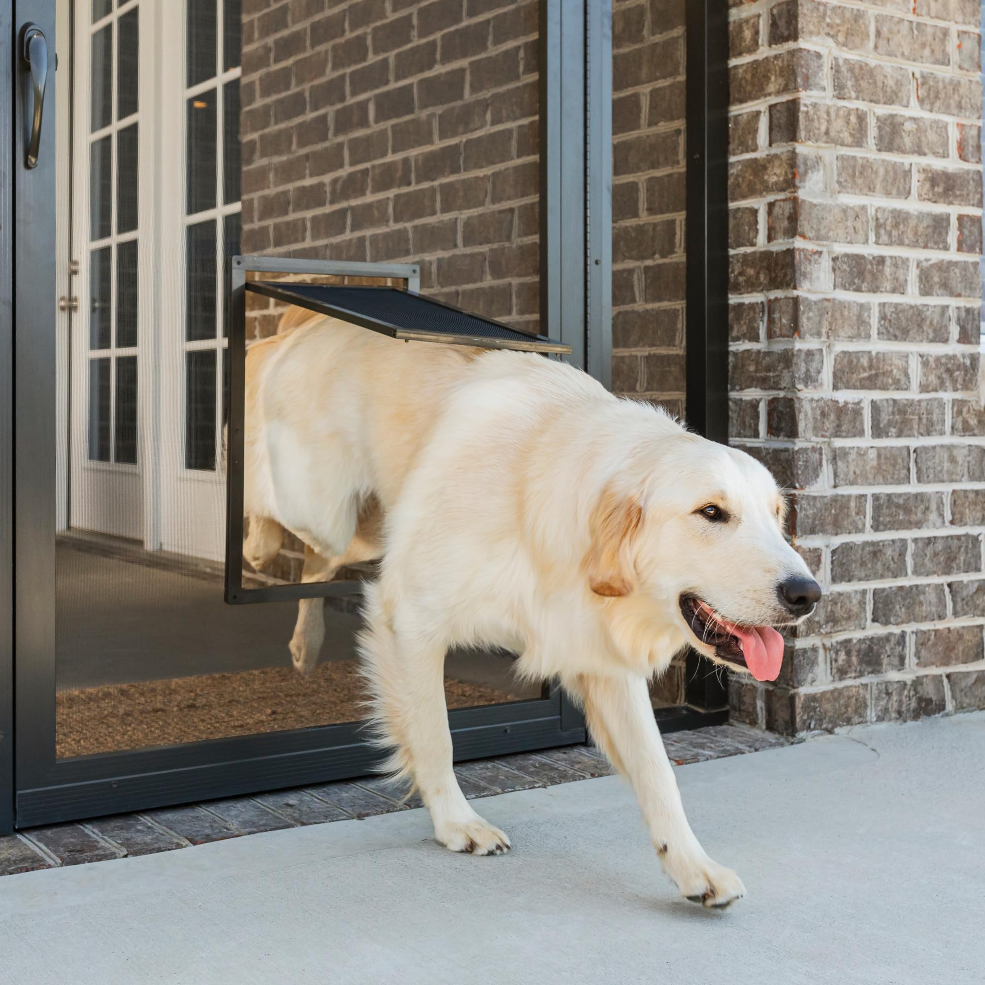 PetSafe maillage résistant anti-déchirure pour chiens et chats.