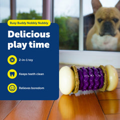 PetSafe Nobbly Nubbly crêtes texturées pour dents pendant le jeu.