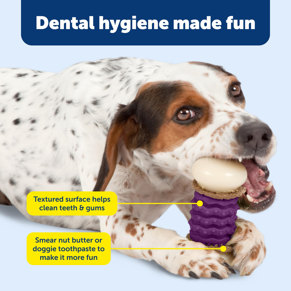 PetSafe Nobbly Nubbly creux remplissage pour friandises variées.