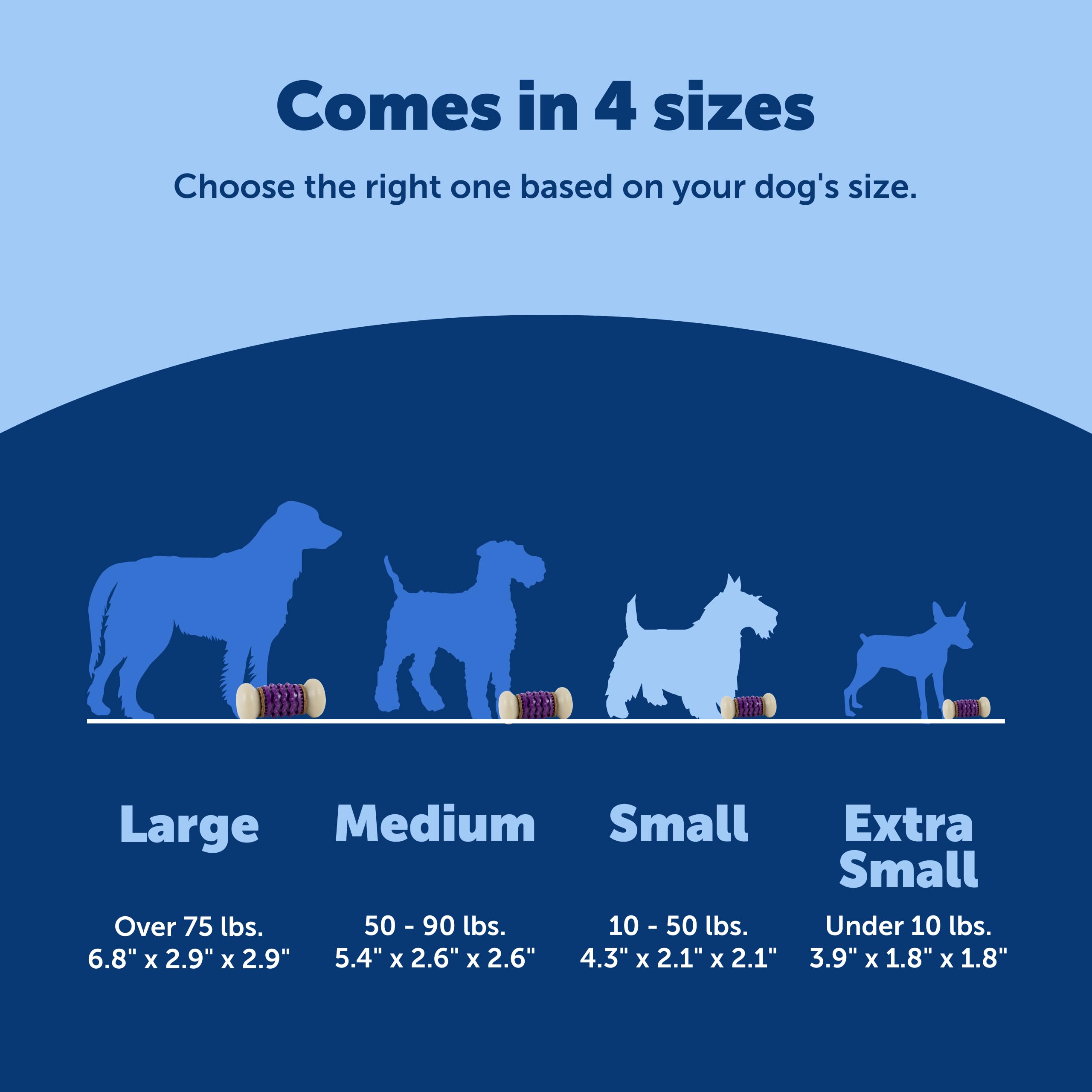 PetSafe Nobbly Nubbly design violet élégant pour chiens actifs.