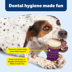 PetSafe Nobbly Nubbly: trous centraux pour garnitures et beurre de cacahuète.