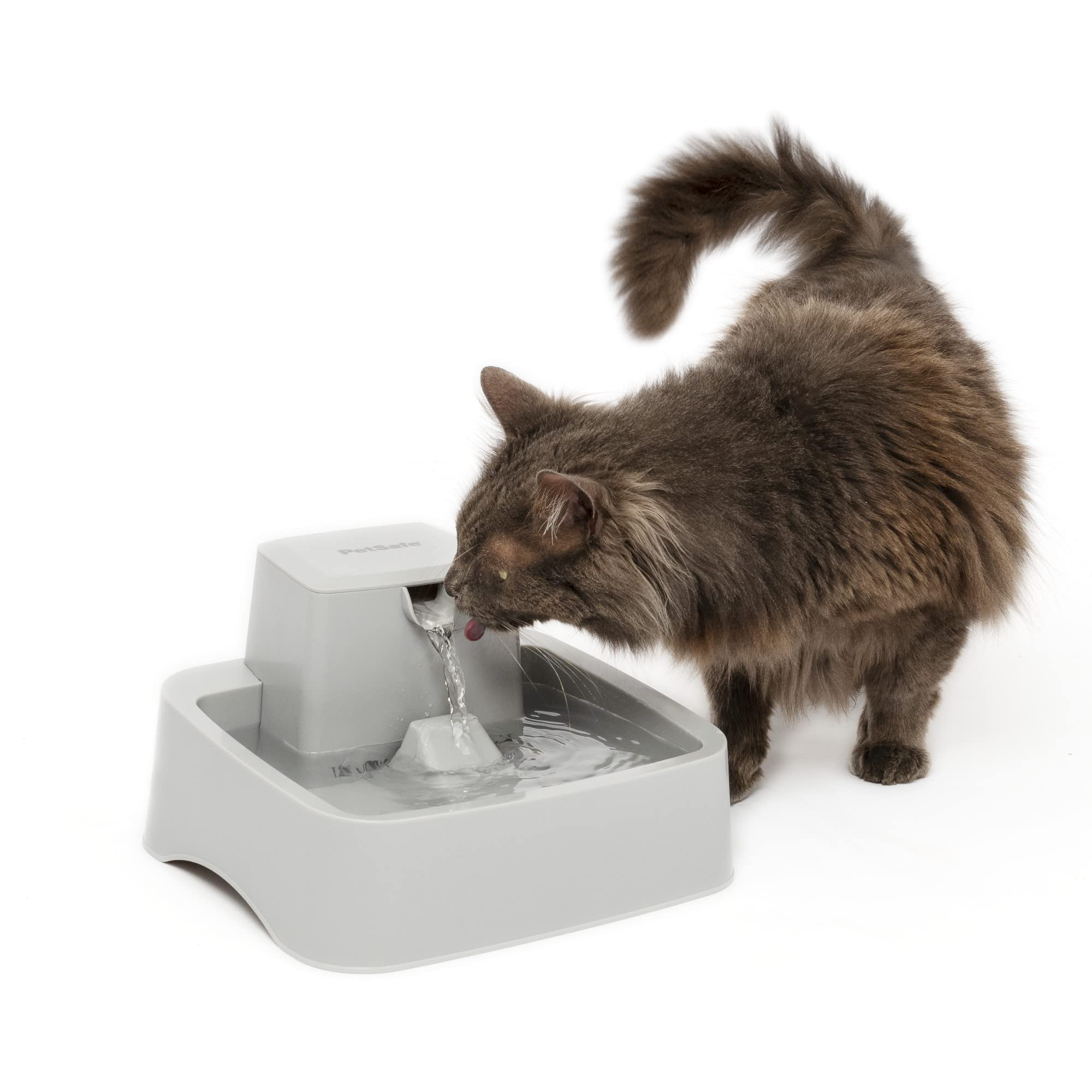 Petsafe Oasys fontaine chat flux libre pour hydratation sans effort