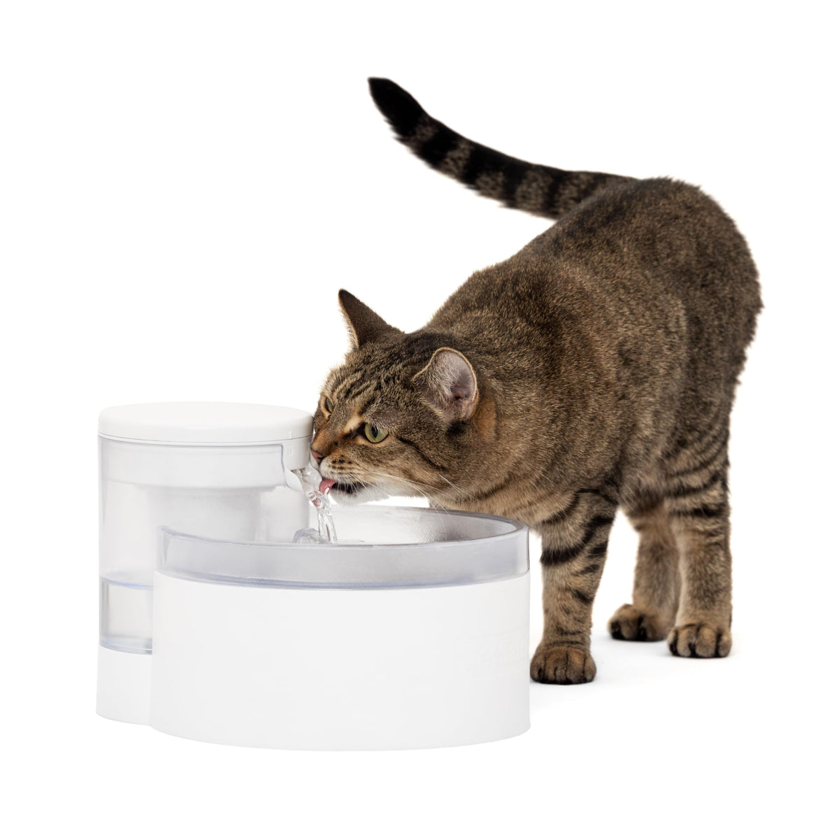 PetSafe Outlast fontaine pour chat avec HydroSpin et flux continu.