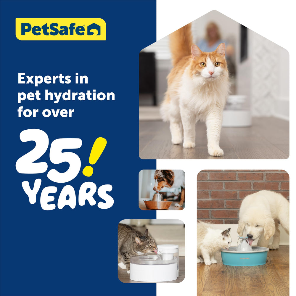 Capacité de 128 oz pour hydrater chats et chiens toute la journée.