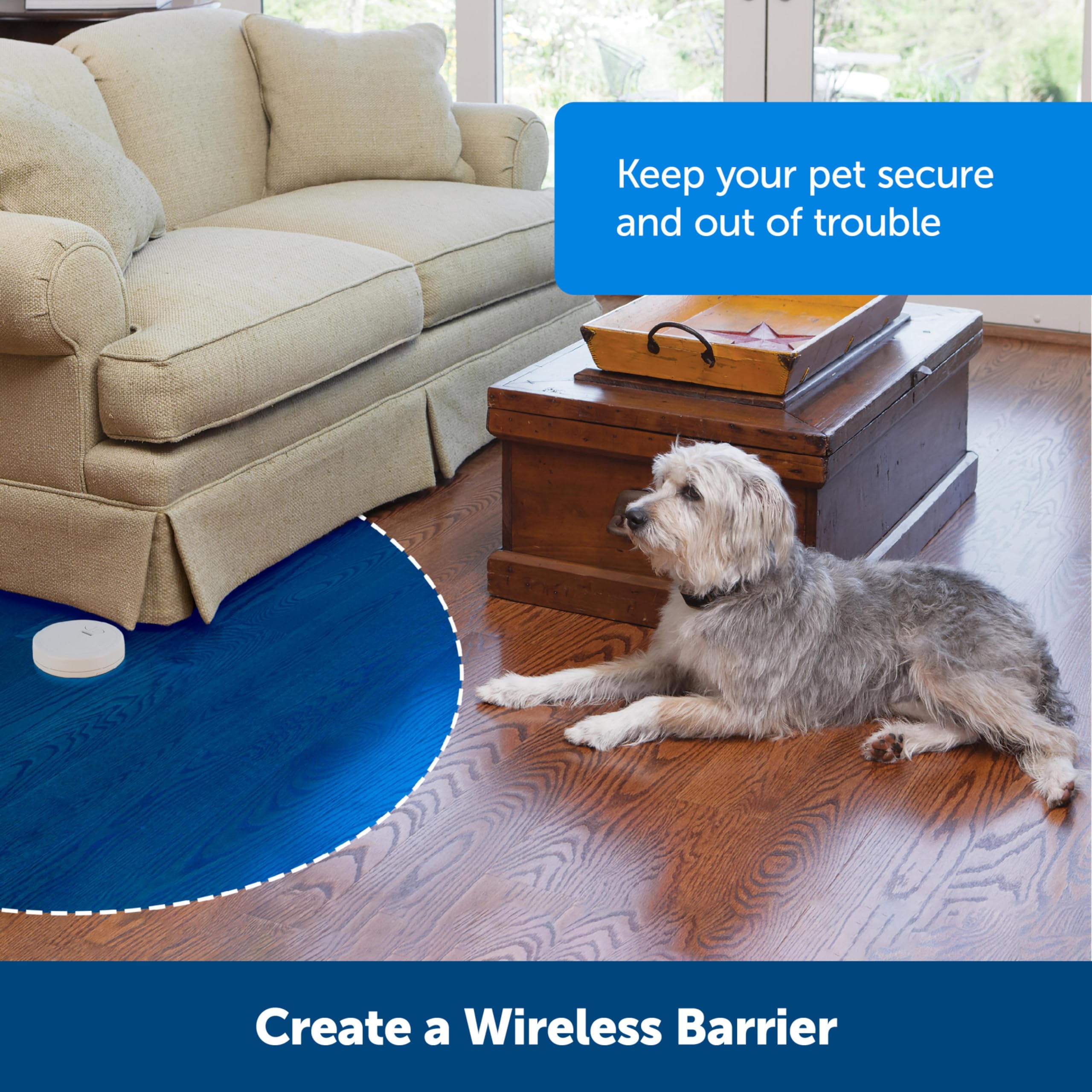 PetSafe Pawz Away signal sans fil, système pratique pour éviter les distractions.