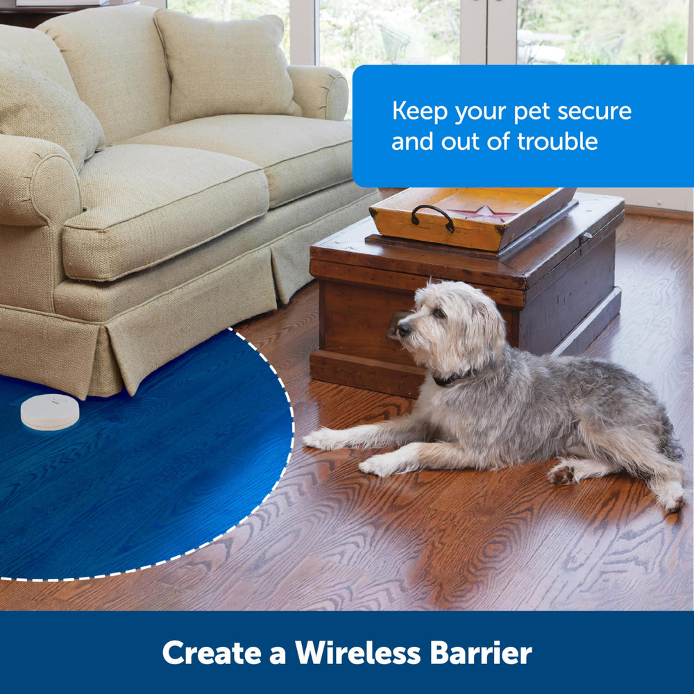 PetSafe Pawz Away signal sans fil, système pratique pour éviter les distractions.