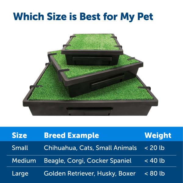 Design durable et fiable du Pet Safe Loo