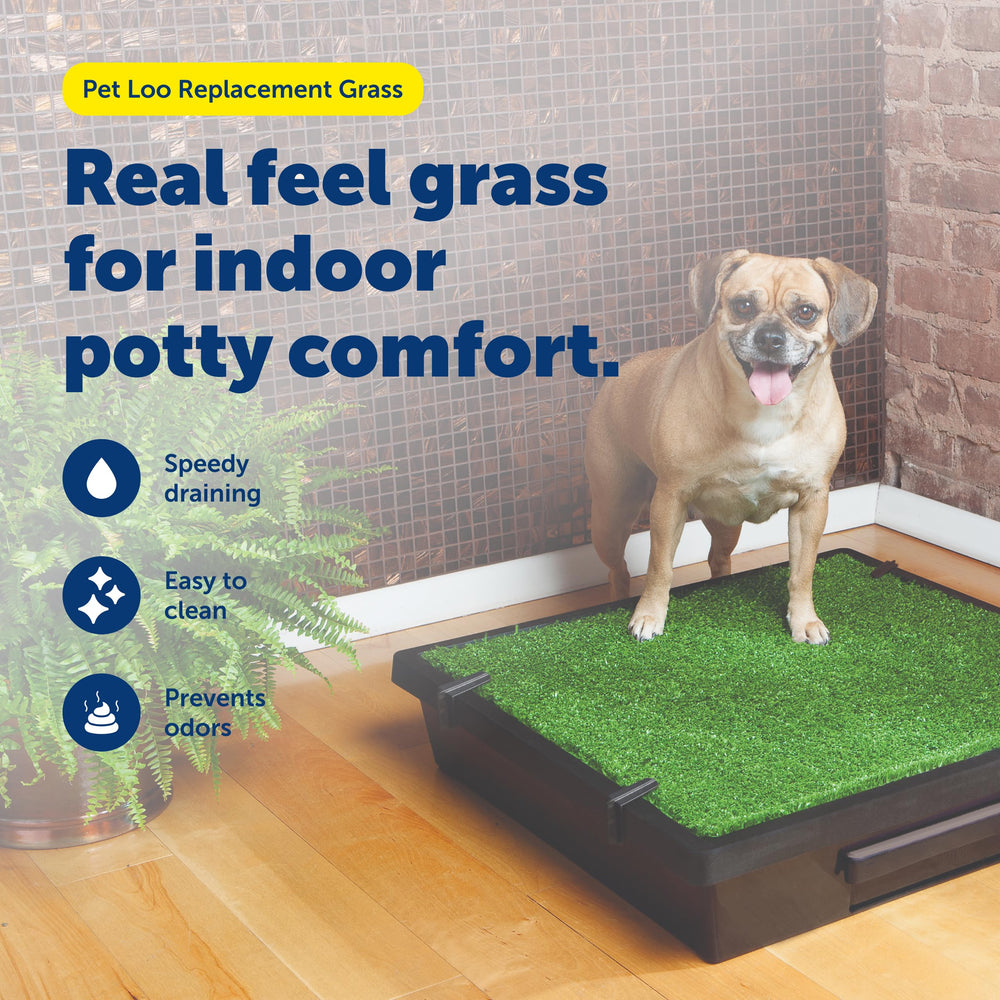 PetSafe Pet Loo – drainage rapide réduisant les odeurs et facilitant le nettoyage