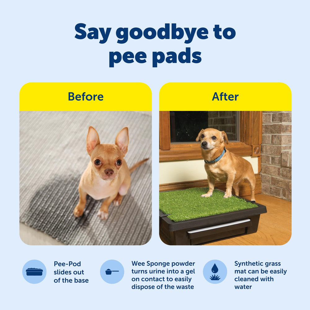 Poudre Wee Sponge absorbante du Pet Loo, contrôle rapide des liquides