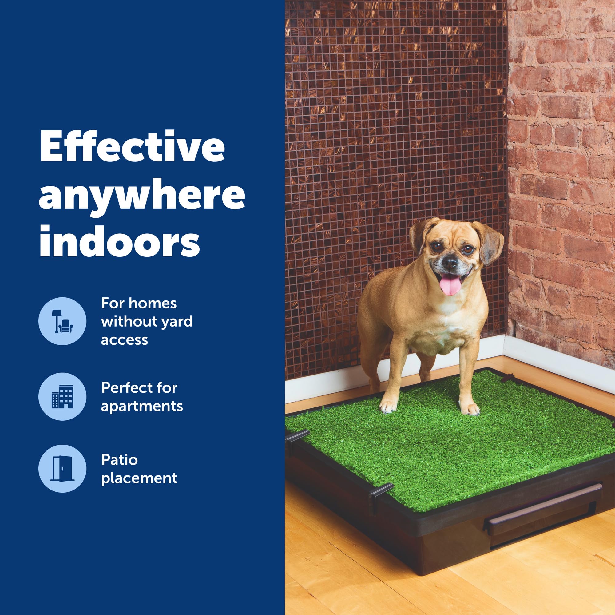Pet Safe Loo taille moyenne adaptée aux chiens de taille moyenne