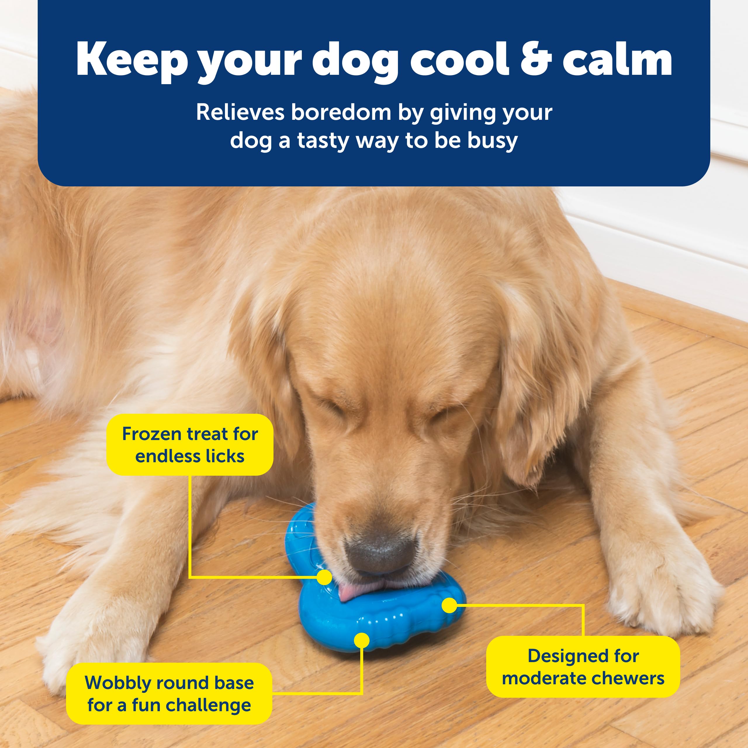 PetSafe Pingouin Refroidissable Nettoyage Lave-Vaisselle: nettoyage rapide et pratique après le jeu