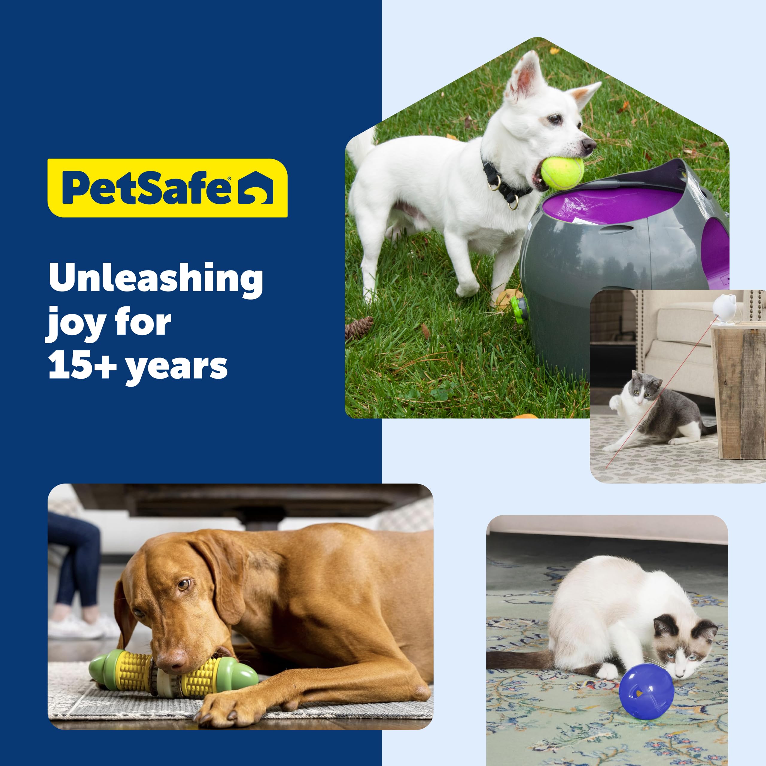 PetSafe Pingouin Refroidissable Usage Quotidien Exterieur: parfait pour l’été et les sessions interactives
