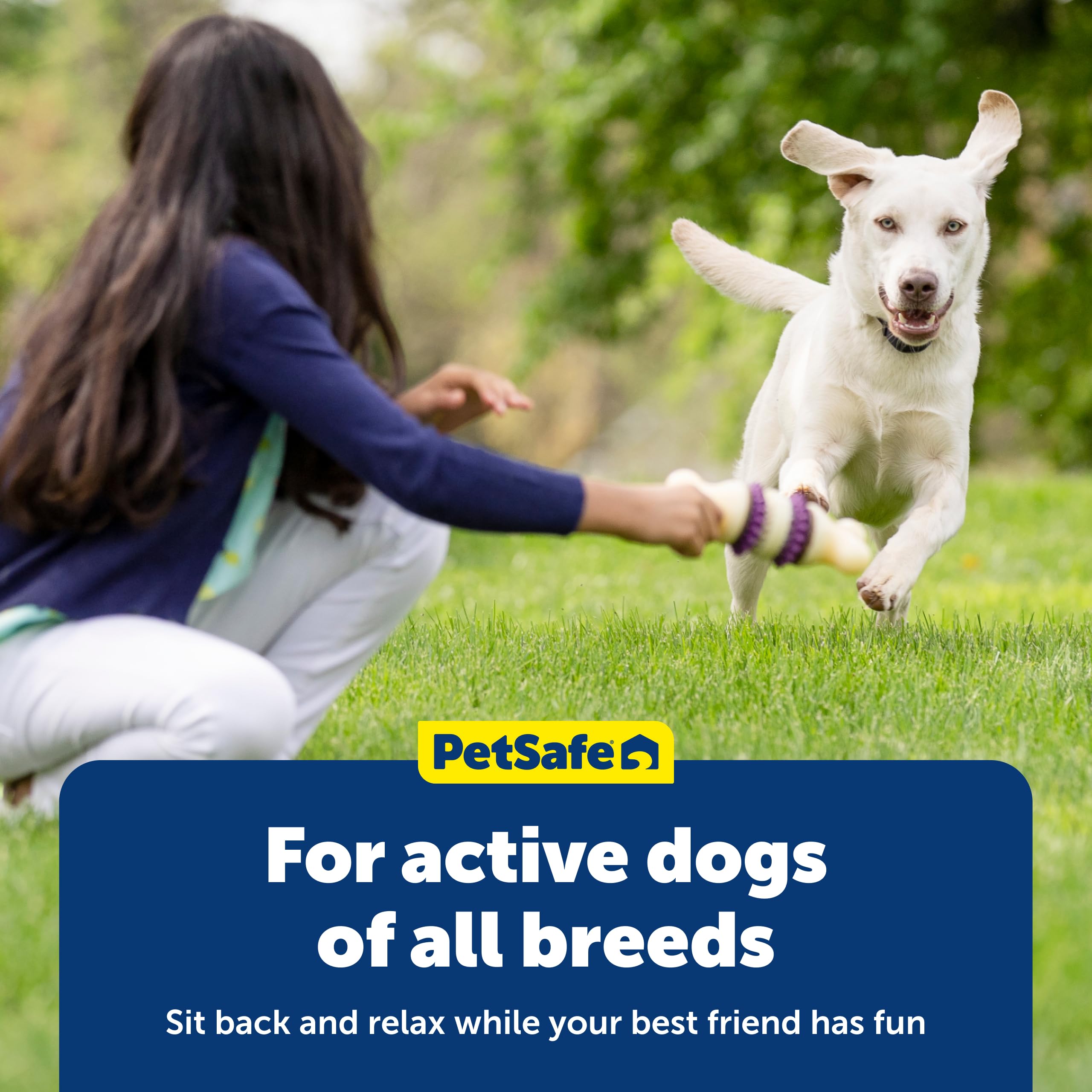 PetSafe plusieurs chiens utilisant les anneaux Busy Buddy