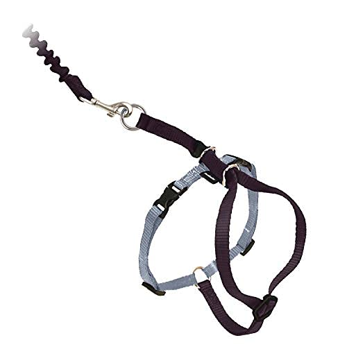 Harnais PetSafe Come With Me, fermeture rapide facilite l'enfilage.