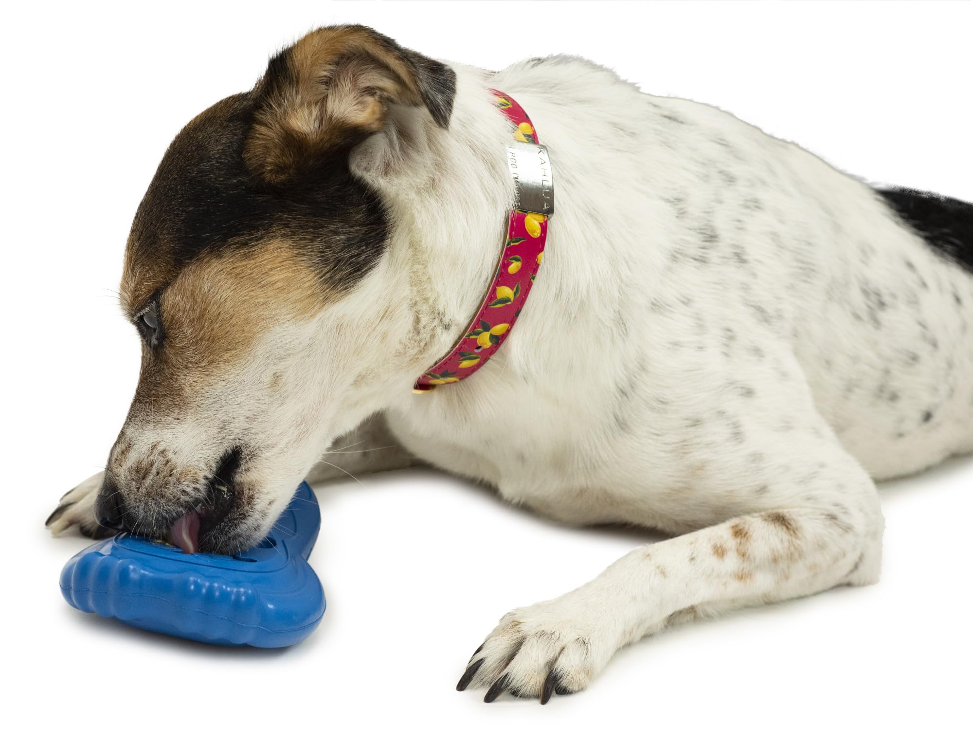 PetSafe centres-neige: points de fixation sécurisant la friandise pour un accès maîtrisé